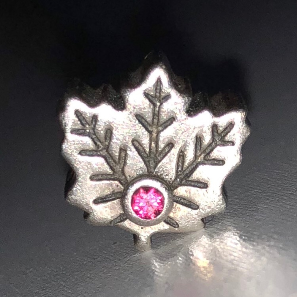 Pandora charm